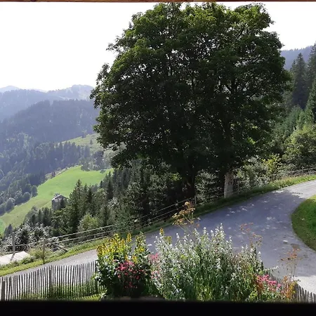 Chalet Das Hochkonig *