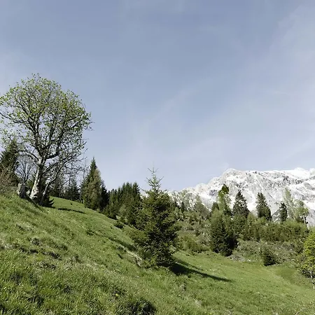 Hochkoenig * Dienten am Hochkönig