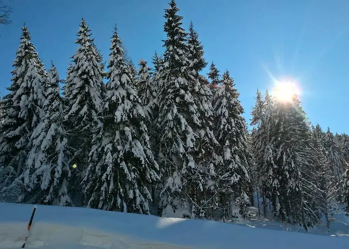 Chalet Hochkoenig