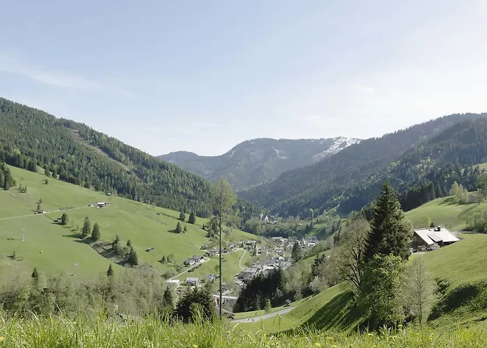Chalé Hochkoenig Dienten am Hochkönig
