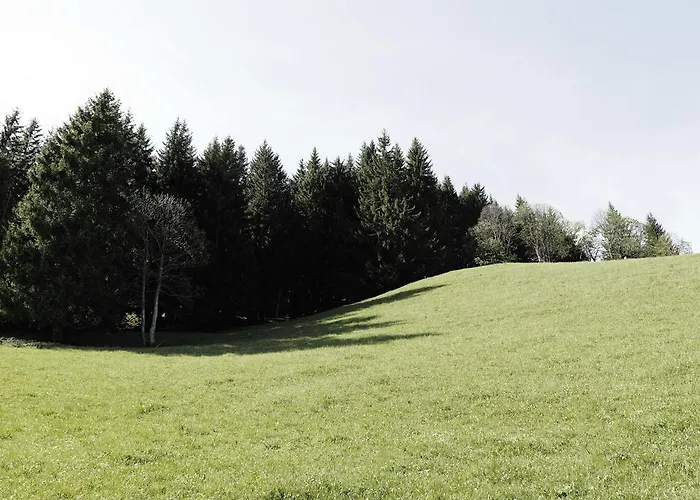 Chalet Hochkoenig *